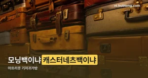 아프리콧 기저귀가방 정리 썸네일
