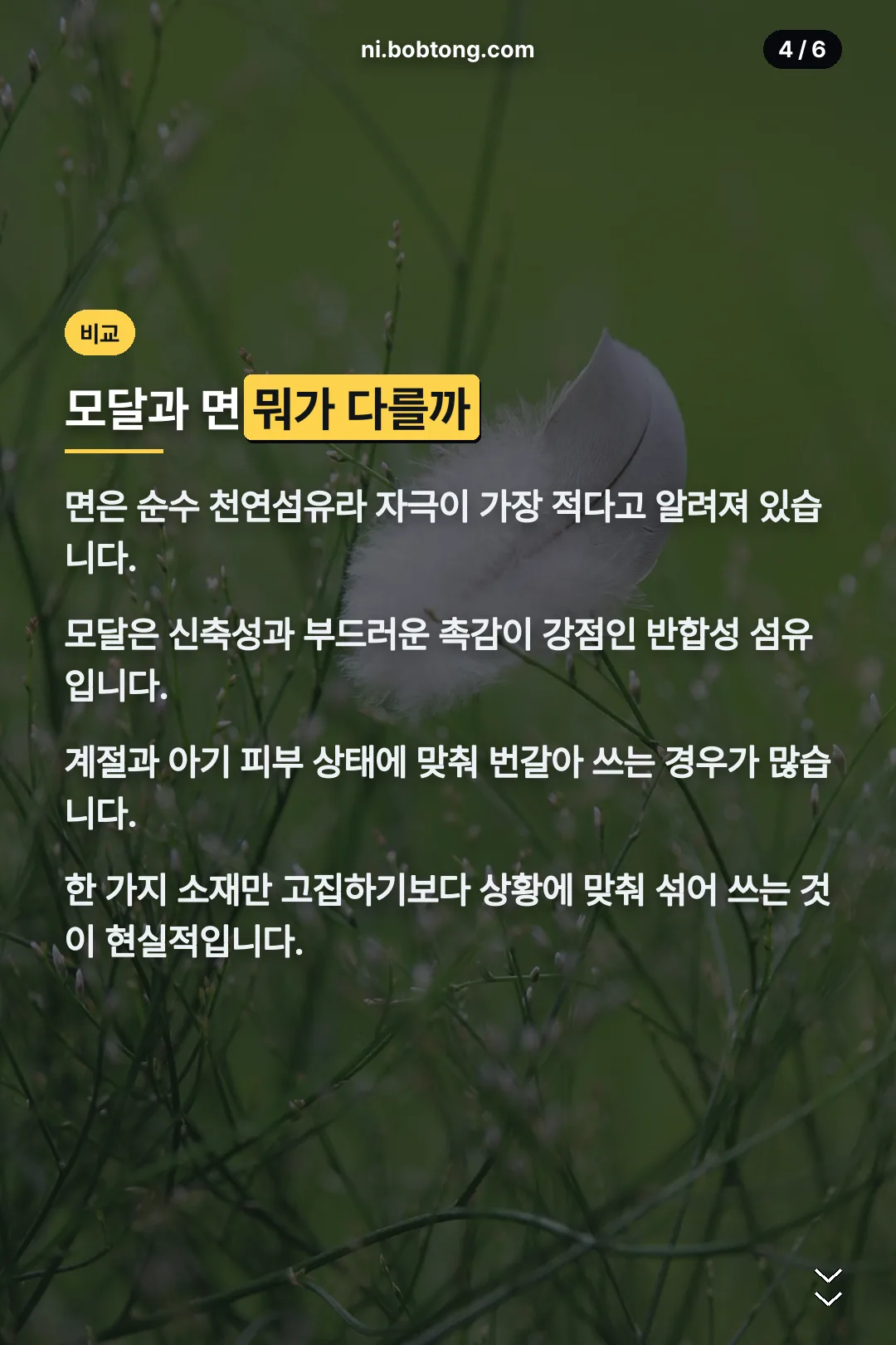 모달과 면 비교