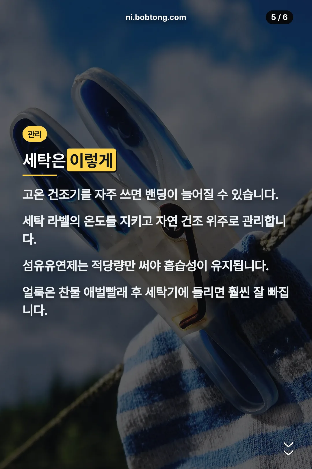 세탁 관리 팁