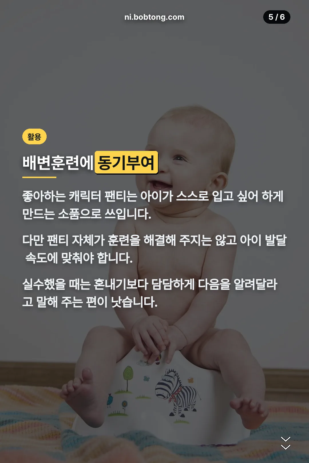 배변훈련 활용
