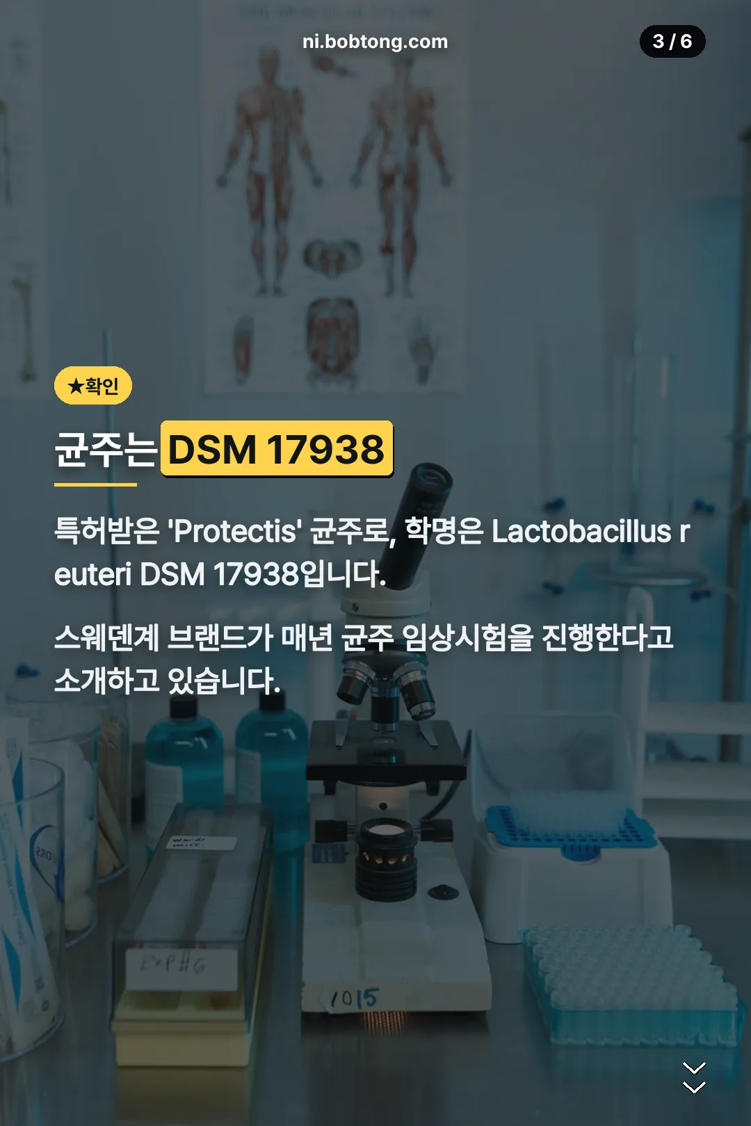균주 정보