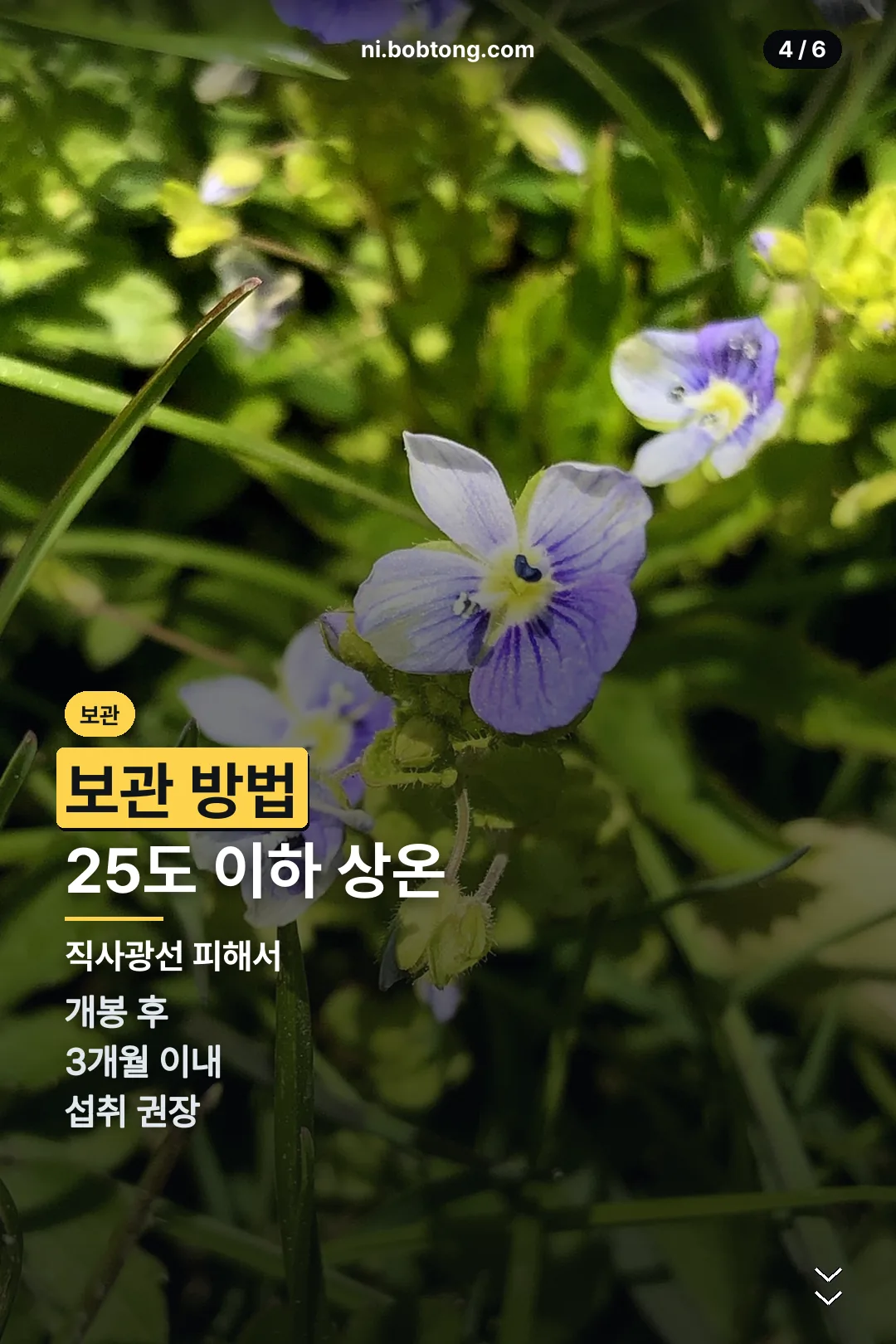 보관 방법