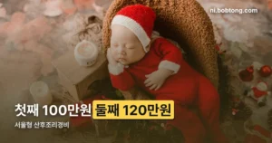 서울형 산후조리경비 정리 썸네일