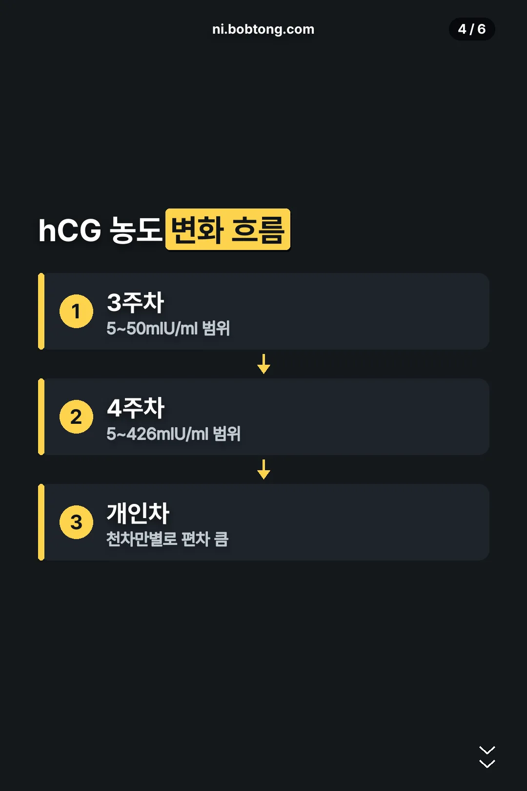 hCG 농도 변화 흐름