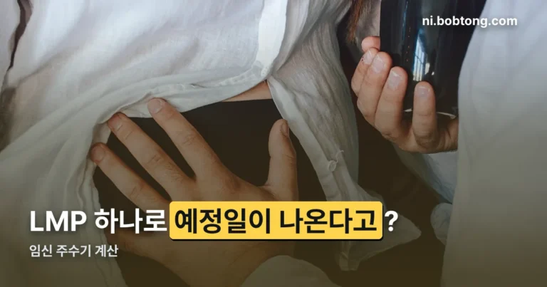 임신 주수기 계산 정리 썸네일