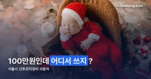 서울시 산후조리경비 사용처 정리 썸네일